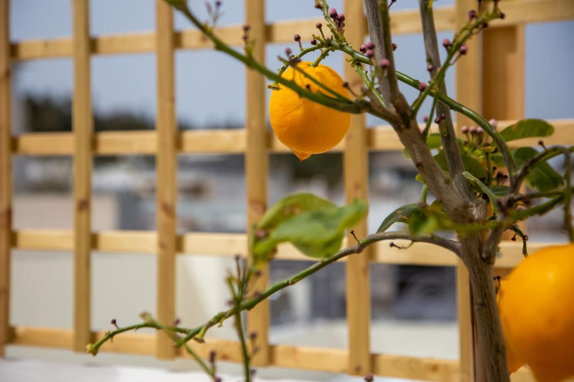 Ourania By Heloni Apartments Athens Ngoại thất bức ảnh